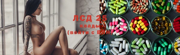 ГАЛЛЮЦИНОГЕННЫЕ ГРИБЫ Балахна