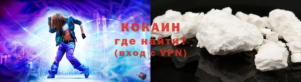 прущие грибы Балабаново