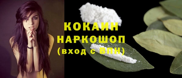 прущие грибы Балабаново