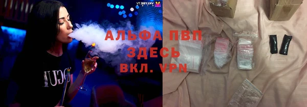 прущие грибы Балабаново