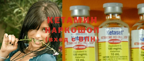прущие грибы Балабаново