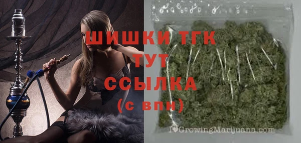 прущие грибы Балабаново
