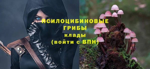 прущие грибы Балабаново