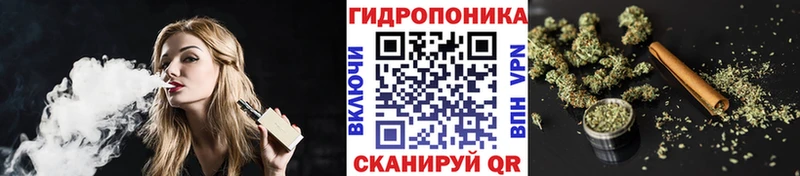 Шишки марихуана семена  Томилино 